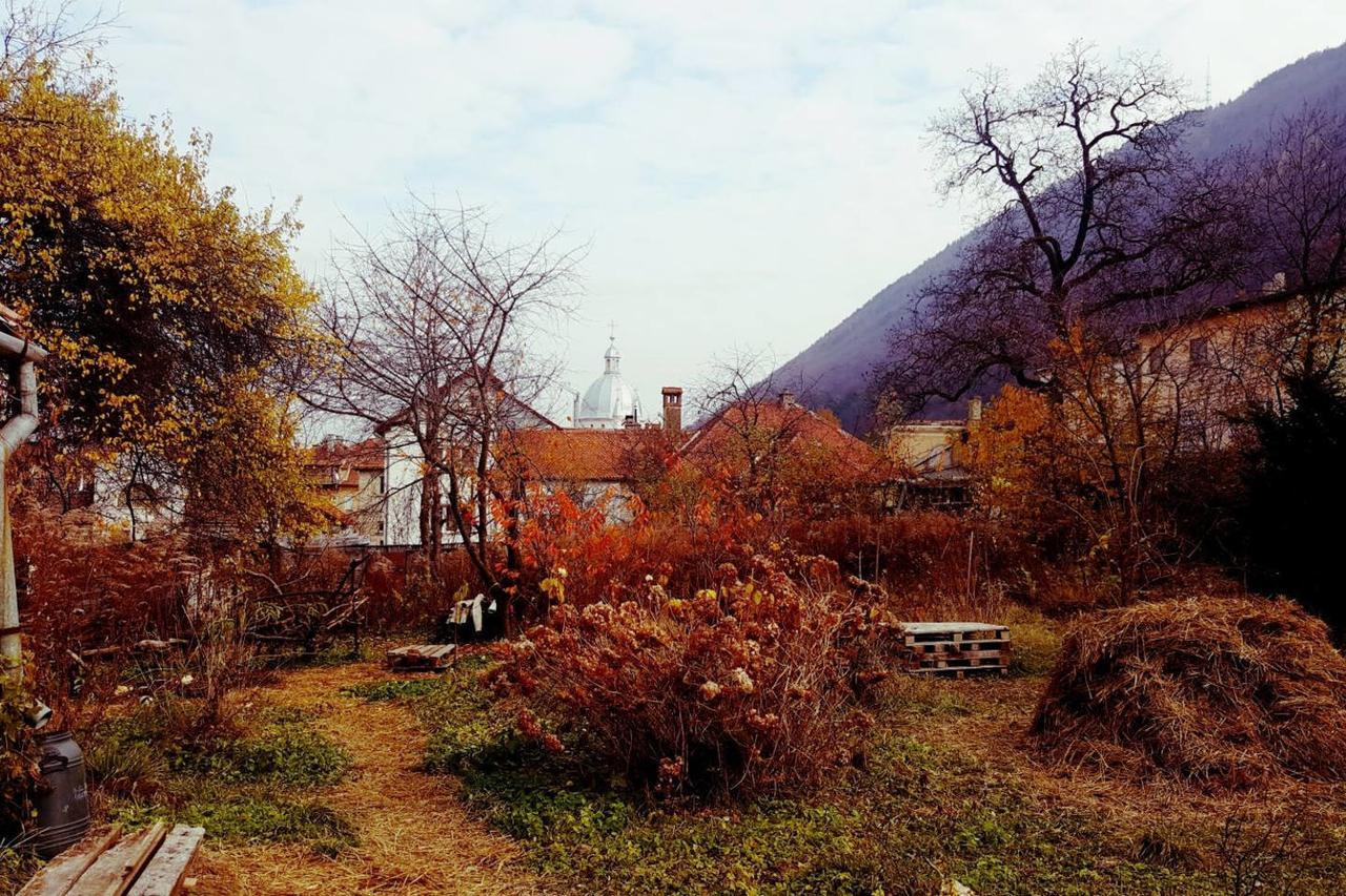 Mountain Tale Hostel บราชอฟ ภายนอก รูปภาพ