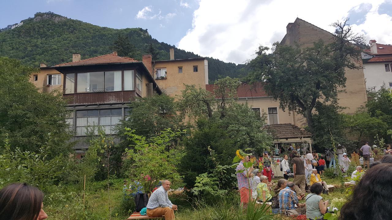 Mountain Tale Hostel บราชอฟ ภายนอก รูปภาพ