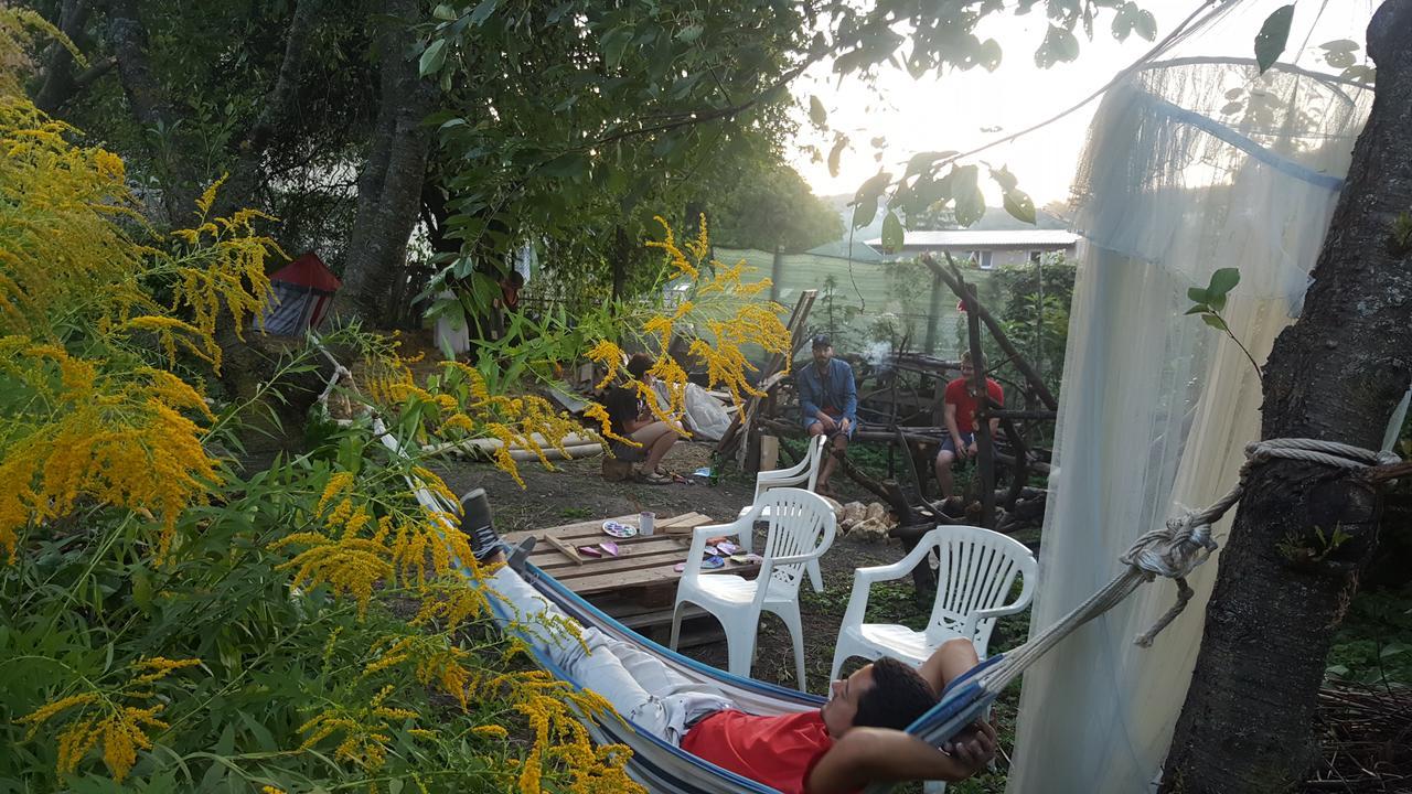 Mountain Tale Hostel บราชอฟ ภายนอก รูปภาพ