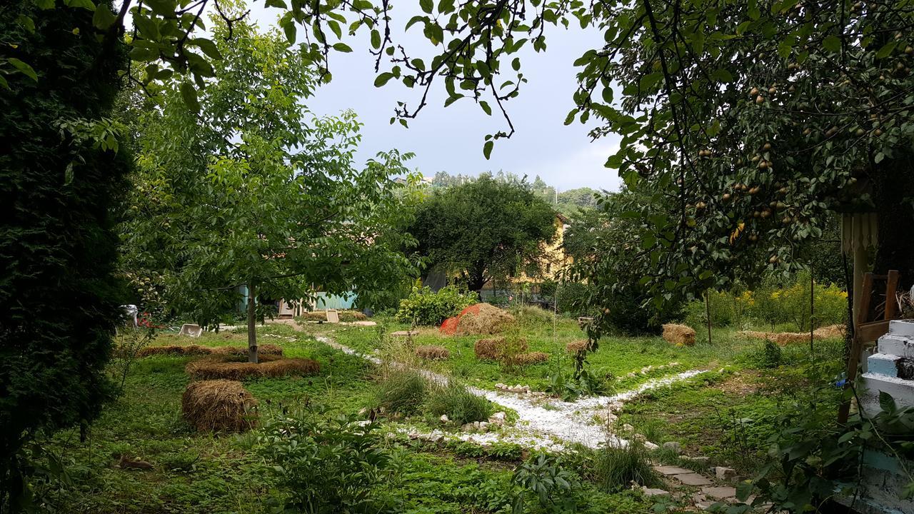 Mountain Tale Hostel บราชอฟ ภายนอก รูปภาพ