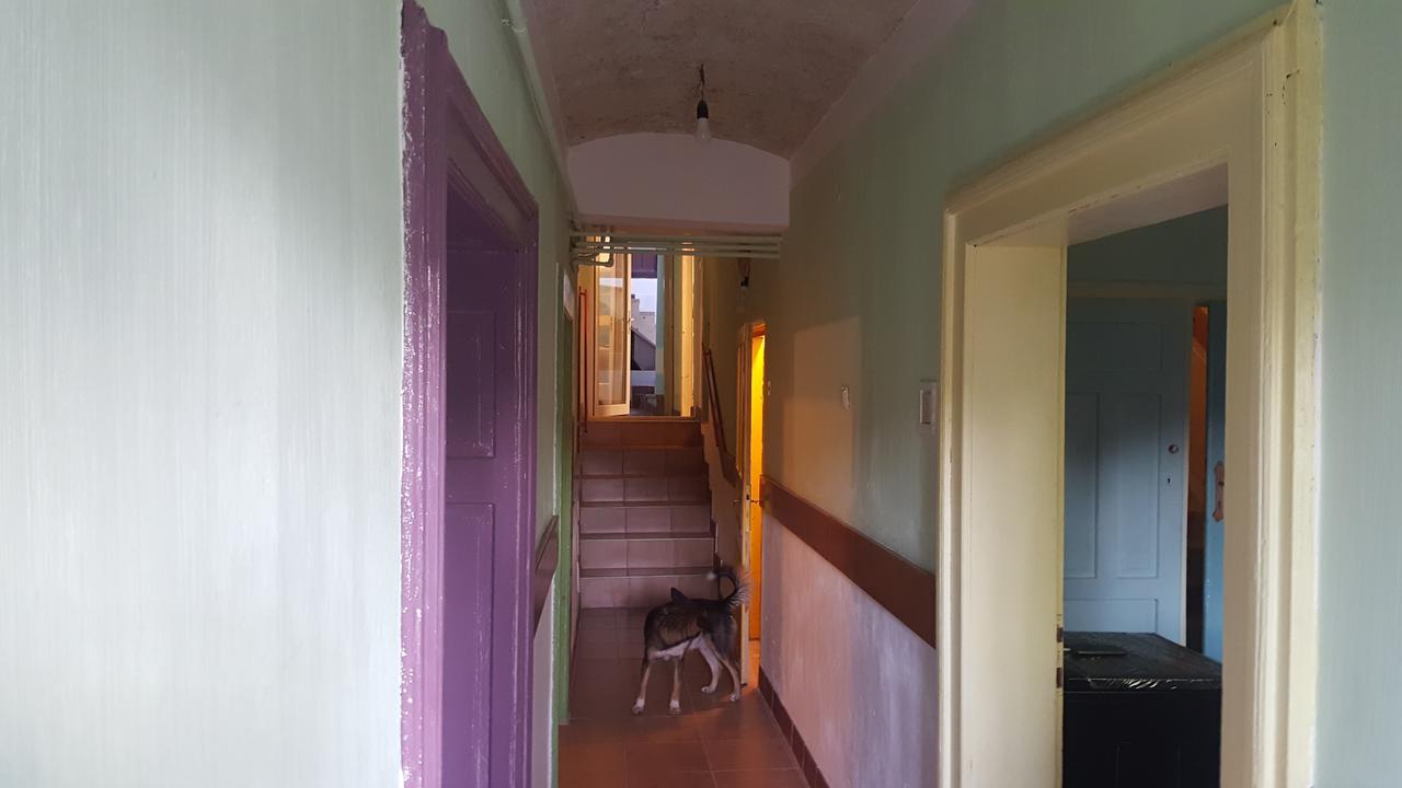 Mountain Tale Hostel บราชอฟ ภายนอก รูปภาพ