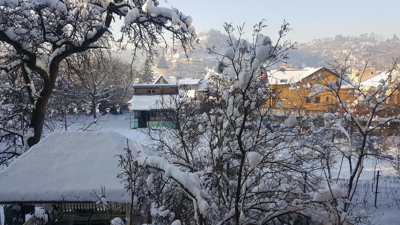 Mountain Tale Hostel บราชอฟ ห้อง รูปภาพ