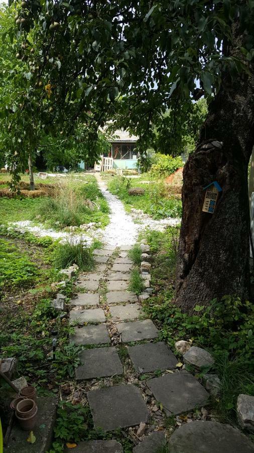 Mountain Tale Hostel บราชอฟ ภายนอก รูปภาพ