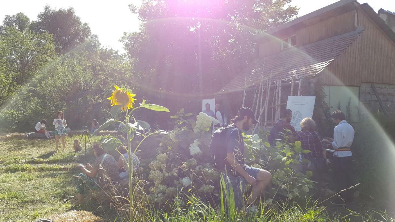 Mountain Tale Hostel บราชอฟ ภายนอก รูปภาพ