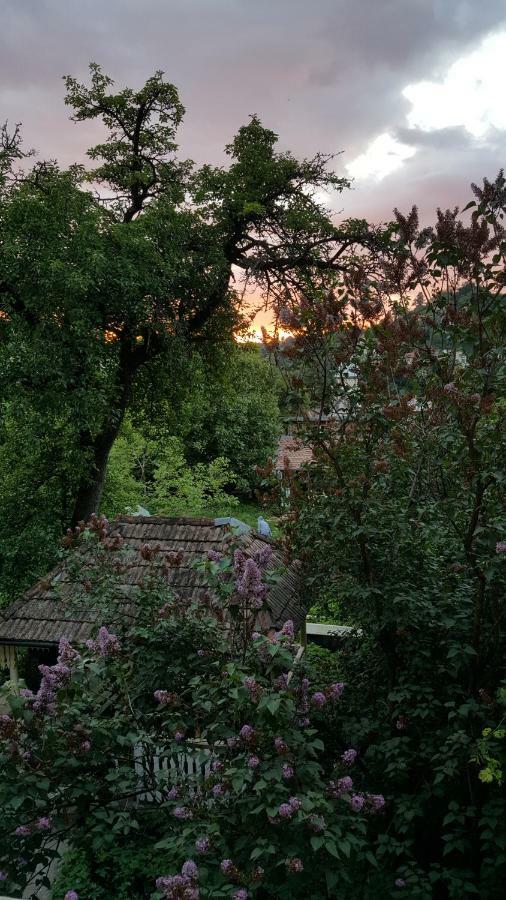 Mountain Tale Hostel บราชอฟ ภายนอก รูปภาพ