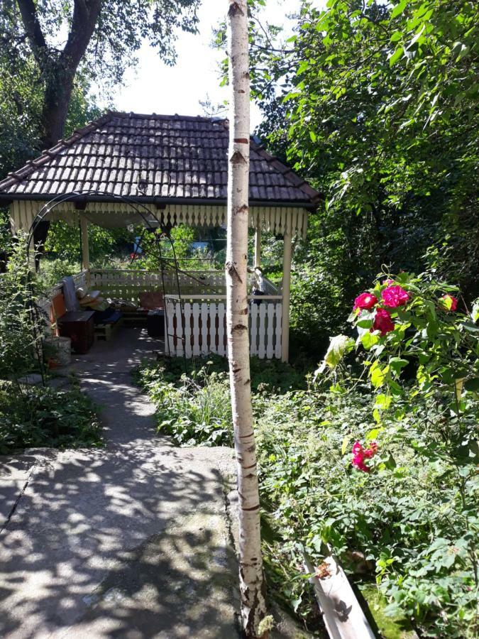 Mountain Tale Hostel บราชอฟ ภายนอก รูปภาพ